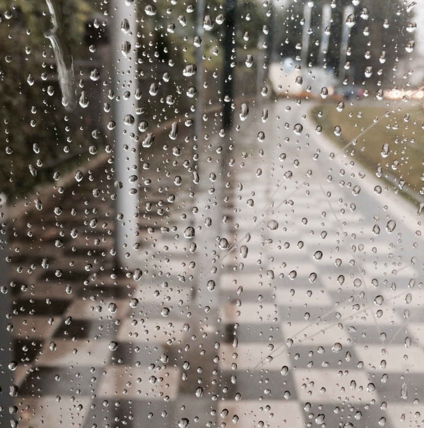 rain