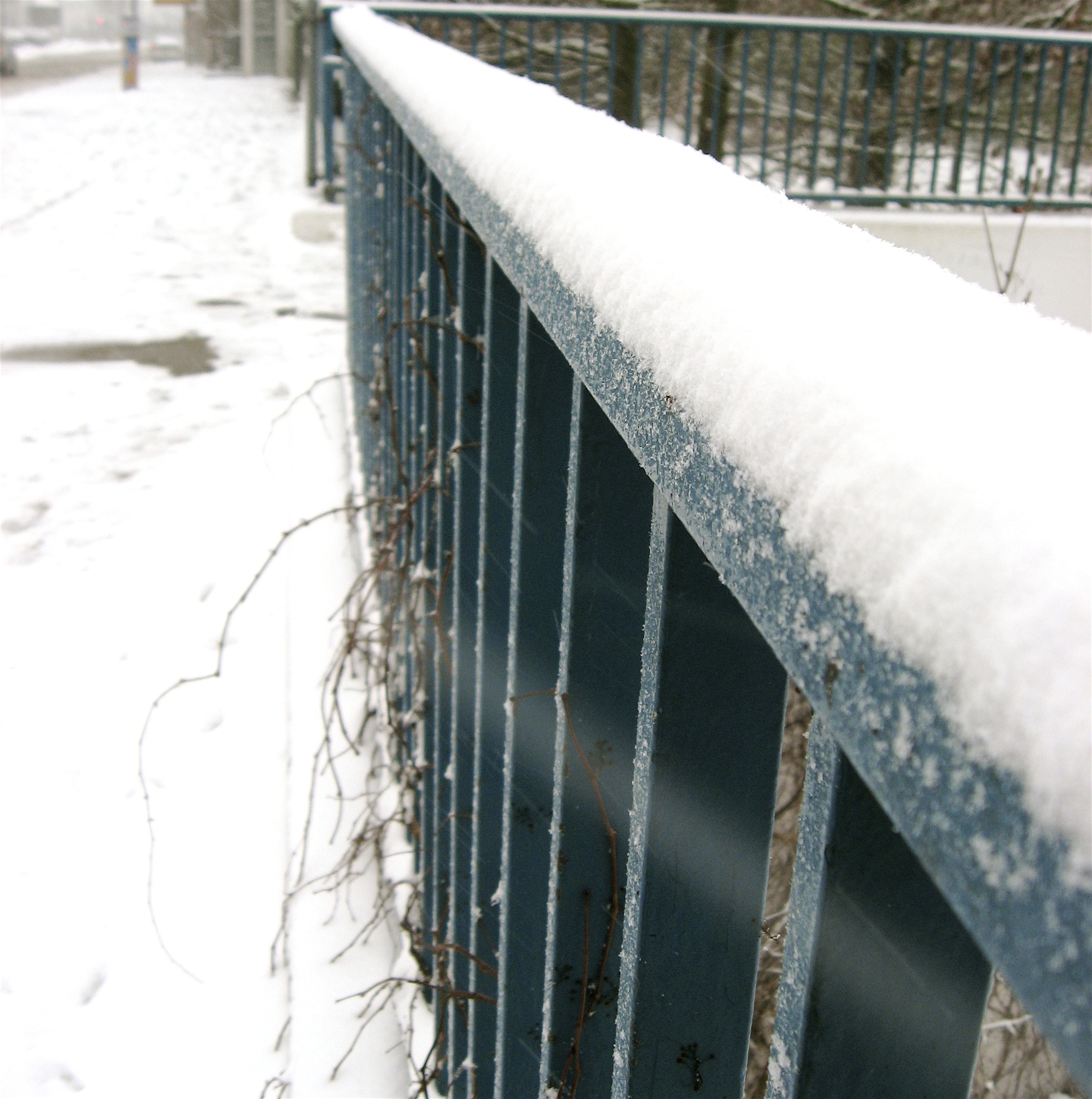 Snow